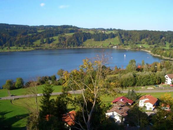 Alpsee-Ostufer von Süden