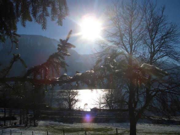 Winterspaziergang am Alpsee
