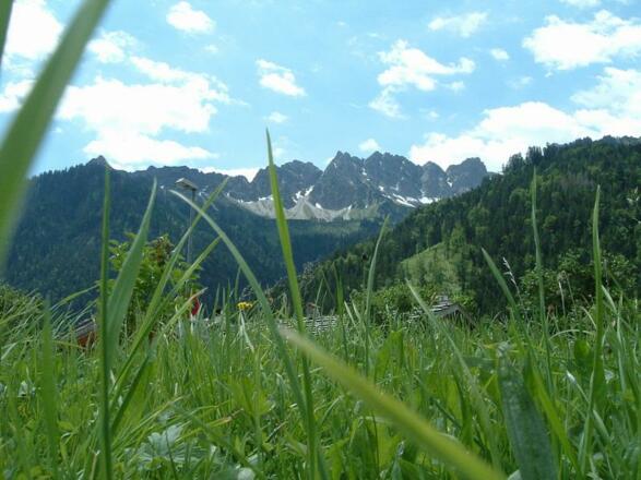 Holzhaus Besler davor