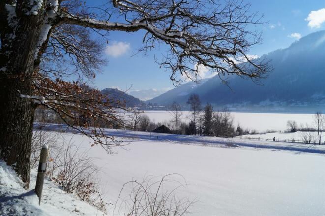 Alpsee Richtung Bühl