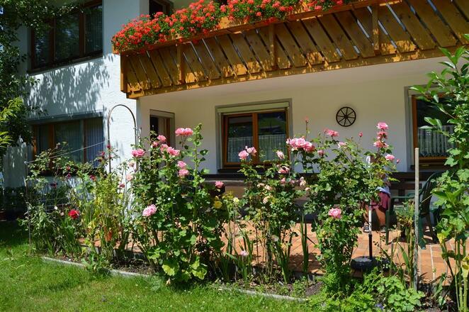 Blick auf die Terrase von der Ferienwohnung Wiese