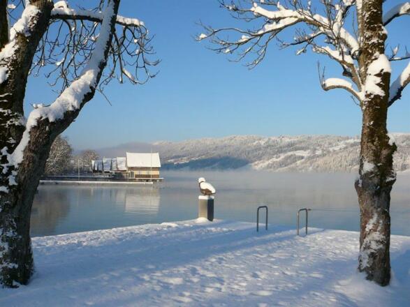 Winter am See