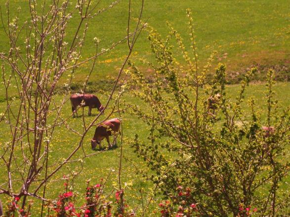 Blick von der Terrasse