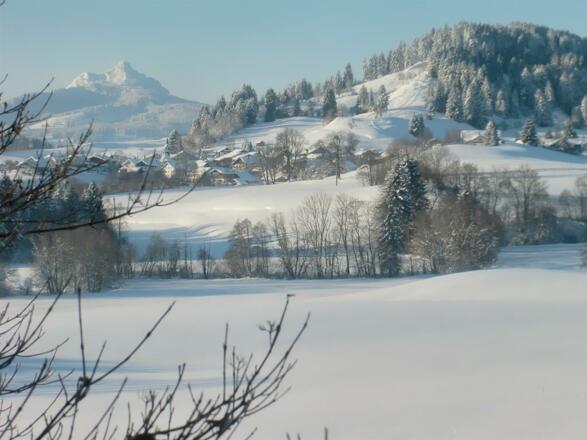 Blick auf Faistenoy mit Grünten