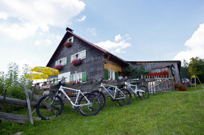 Oberstaufen-MTB-Alpe-Neugreut_32