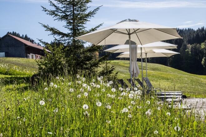 2_20160522-6846-22_05_2016_1