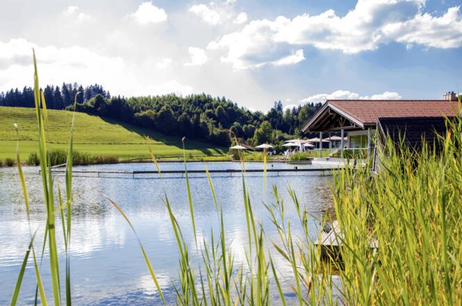 1_nautursee-2018-sommer-178236-26-juli-2018_bear_1