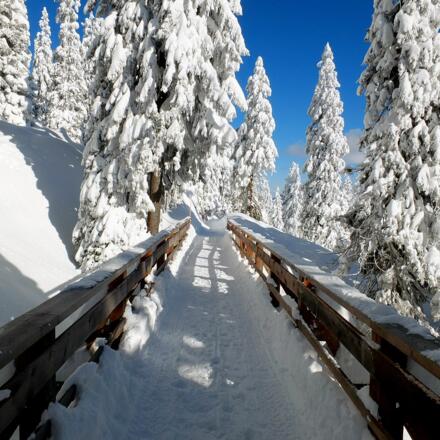 Reichenhaller Höhenkurweg Predigtstuhl © Erich Steindl