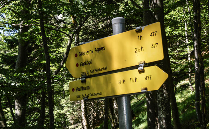 Wegweiser am Rotofensattel