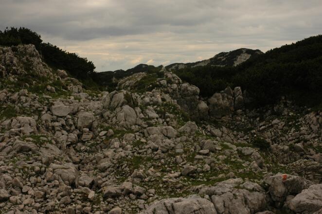 Hochfläche in der Nähe des Mitterbergs