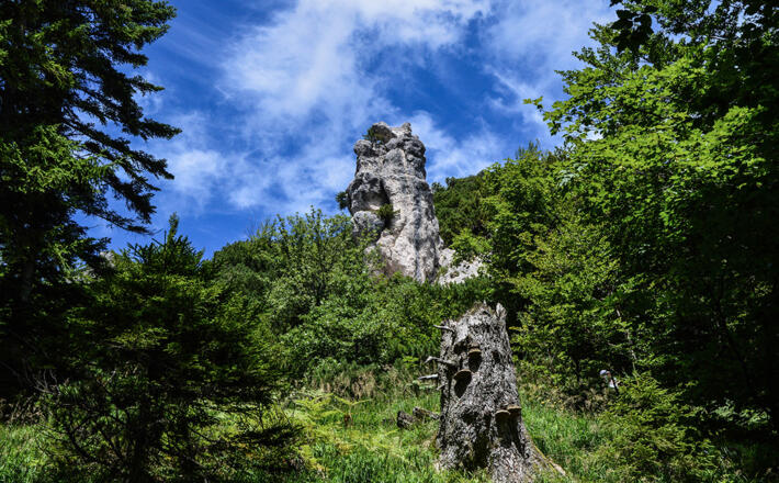 Blicjk von unten zur Steinernen Agnes