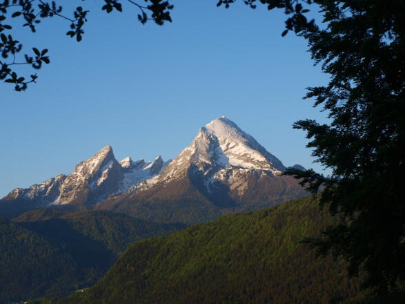 Watzmannstock, vom blauen Kastl 1120m gesehen