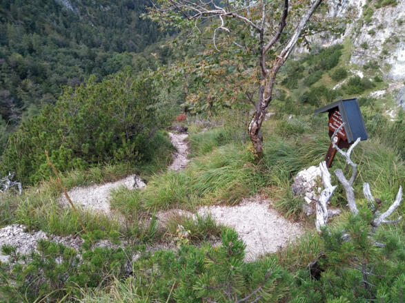 Der Toni Michel Steig