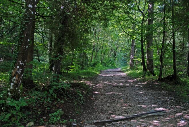 Zugang zum Alpgartenrundweg