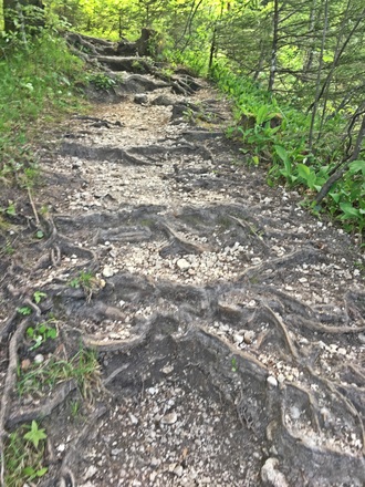 Waderweg Dötzenkopf 