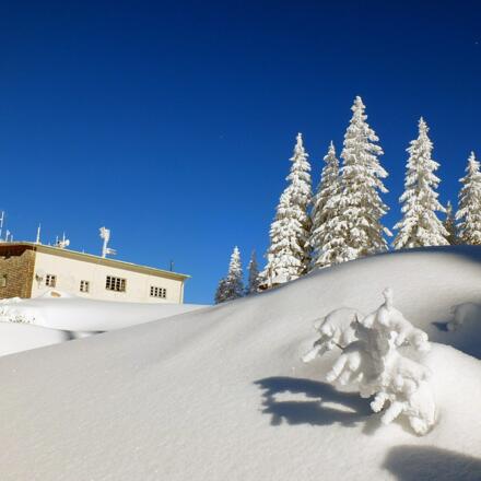 Reichenhaller Höhenkurweg Predigtstuhl © Erich Steindl