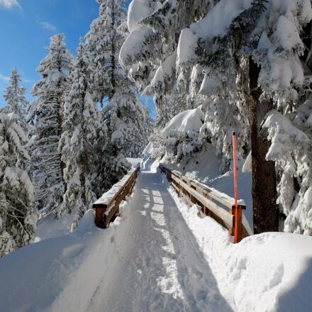 Reichenhaller Höhenkurweg Predigtstuhl © Erich Steindl