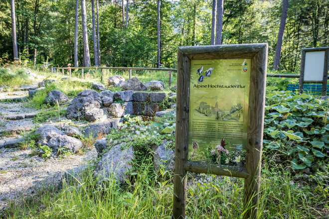 Bergkurgarten Bayerisch Gmain