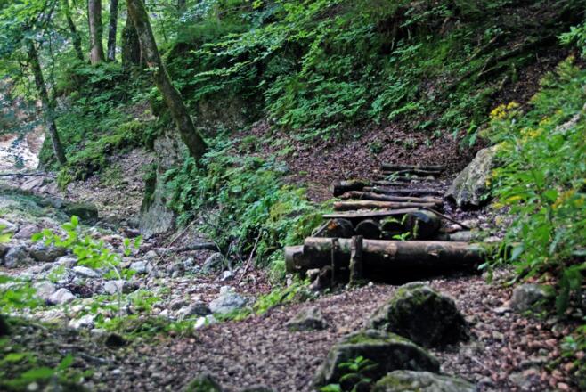 Auf dem Alpgartenrundweg