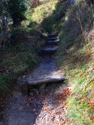 Wanderweg zur Zwieselalm