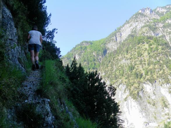 ausgesetztes Gelände