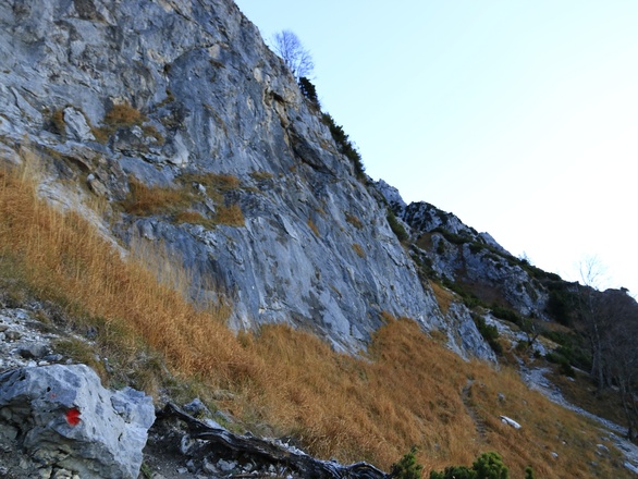 der Goldtropfsteig führt direkt unterhalb der Goldtropfwand durch die Streuwiese