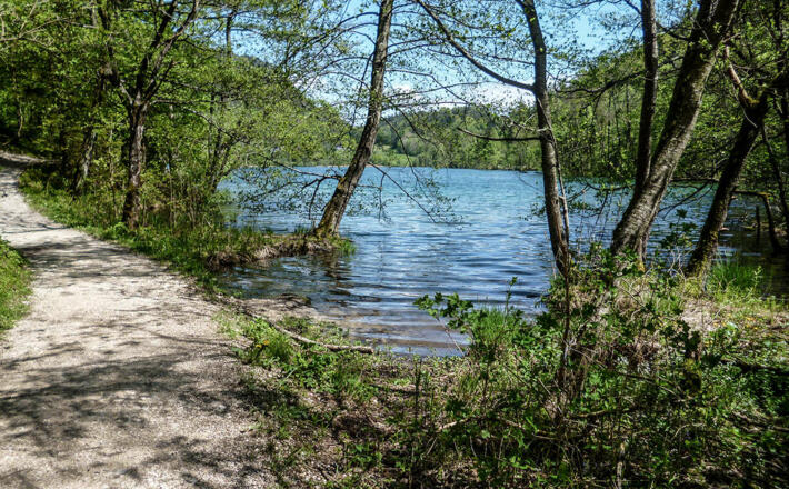 Der Soleleitungsweg am Thumsee