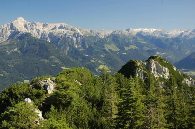 Fels-/Latschengrat der Rauhen Köpfe