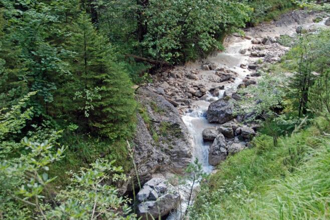 Auf dem Alpgartenrundweg