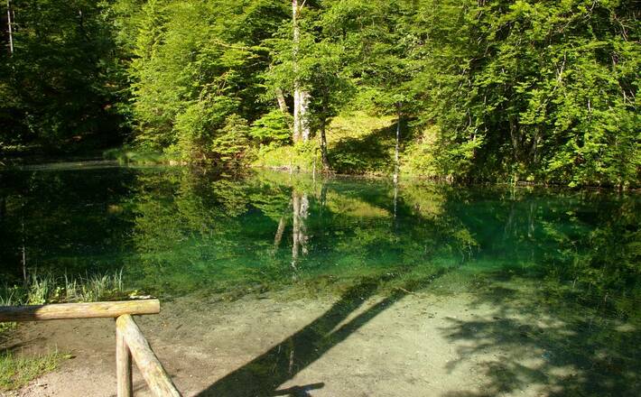 Zwieselalm (Bike- and Hike-Tour) 