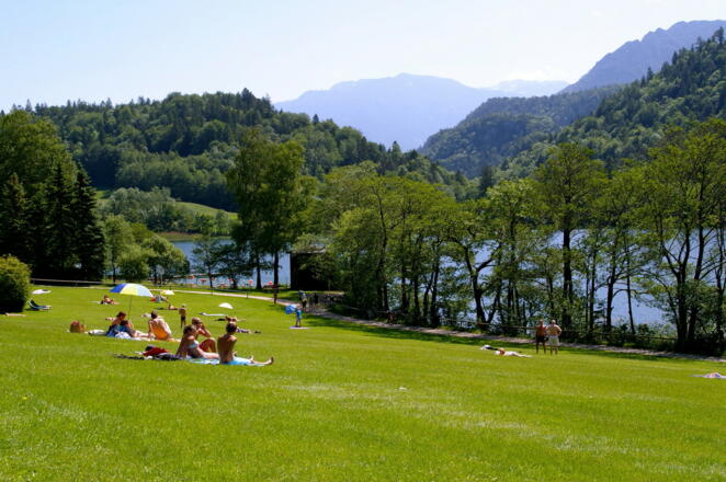 Liegewiese am Thumsee