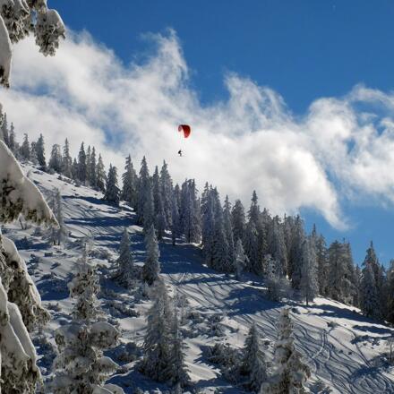 Reichenhaller Höhenkurweg Predigtstuhl © Erich Steindl