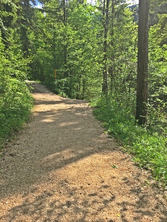 Wanderweg Dötzenkopf