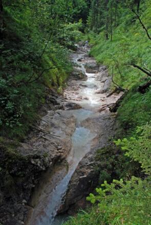 Auf dem Alpgartenrundweg