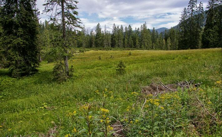 Unterwegs im Lattengebirge