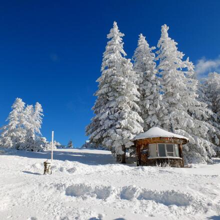 Reichenhaller Höhenkurweg Predigtstuhl © Erich Steindl