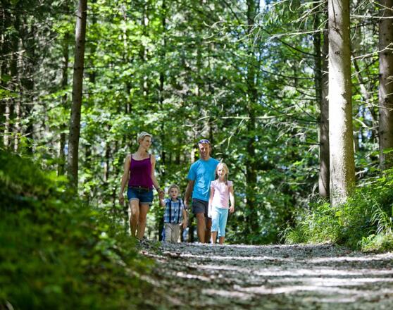 Wandern in Bischofswiesen, Märchenpfad