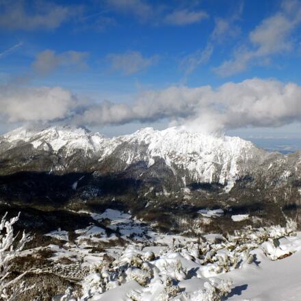 Reichenhaller Höhenkurweg Predigtstuhl © Erich Steindl