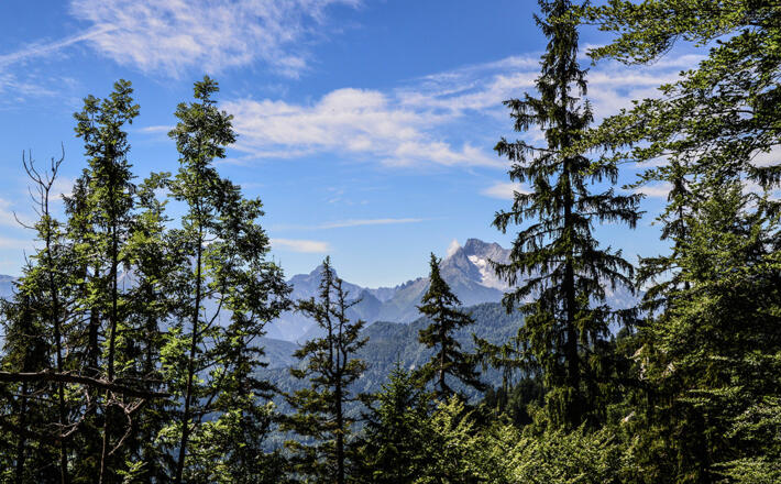 Blick vom Rotofensattel zum Hochkalter