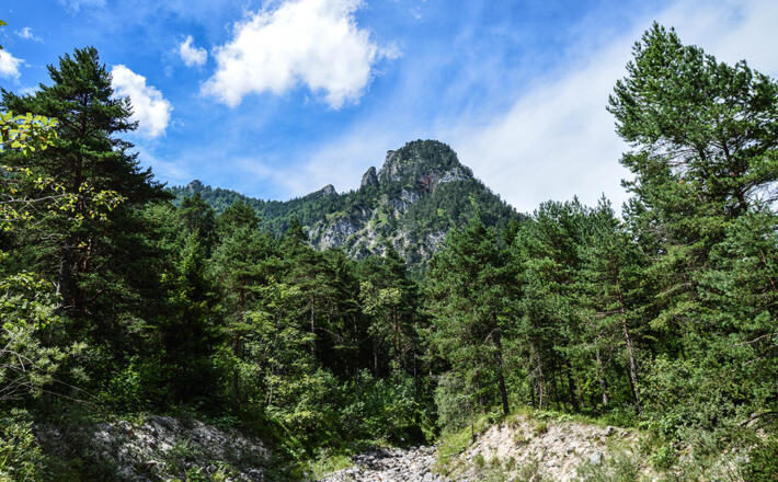 Blick hinauf zur Schlafenden Hexe