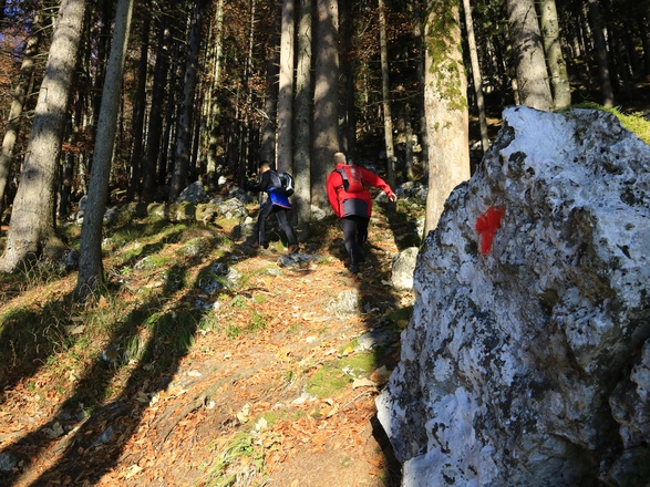 später ist der Goldtropfsteig dann rot markiert