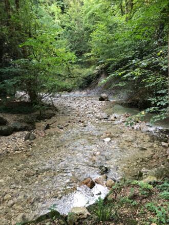 Weiter gehts über den Köhlerbach