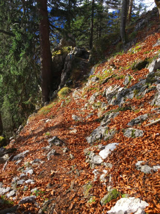 Blauer Steig zur Zwieselalm