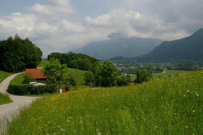 Leistungsvariante Thumsee