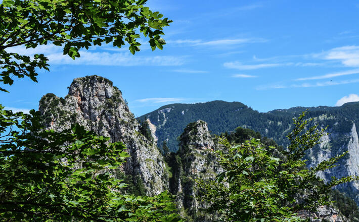 Die Nase der Schlafenden hexe