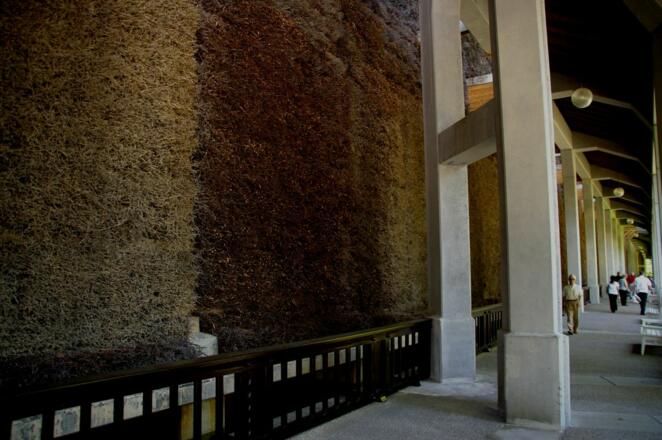 Gradierwerk Bad Reichenhall