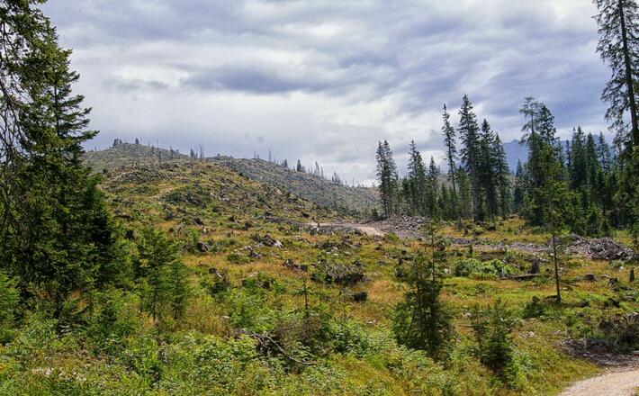 Sturmschäden im Lattengebirge