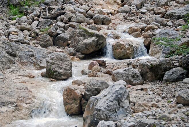 Auf dem Alpgartenrundweg