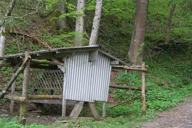 Abzweig - Hinter der Futterkrippe geht der Weg steil bergauf
