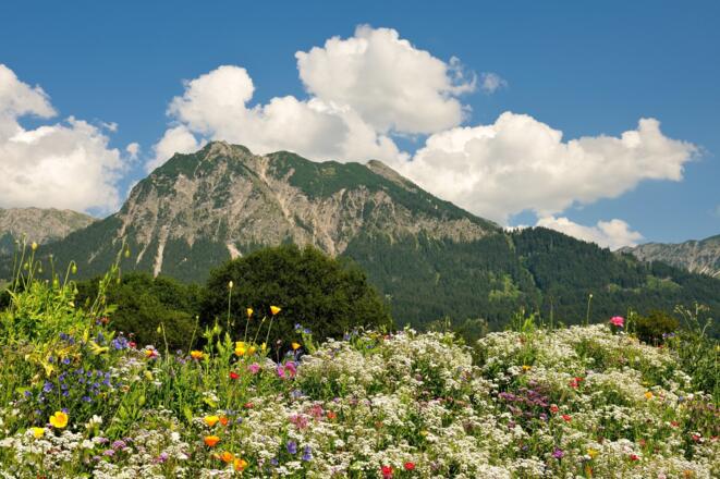 Kurbetriebe Oberstdorf